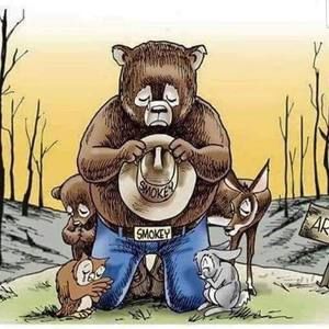 Meet your Posher, Leslie